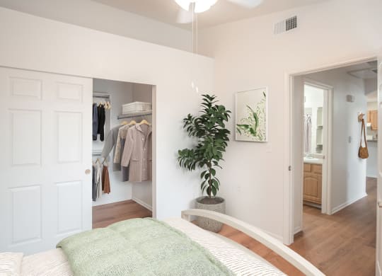 a bedroom with a bed and a closet with a plant
