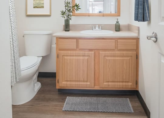 a bathroom with a sink and a toilet and a mirror