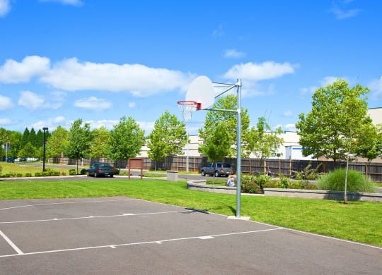 Prairie View Basketball Court