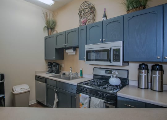 a kitchen with blue cabinets and stainless steel appliances and a sink