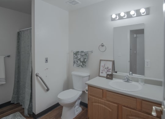 a bathroom with a toilet sink and mirror and a shower