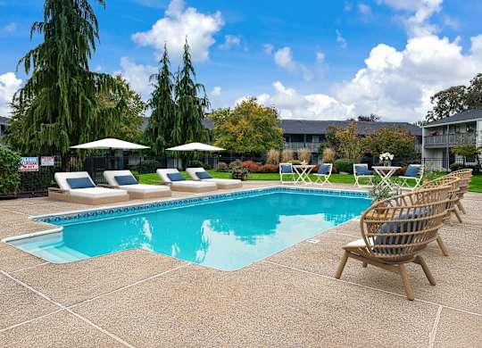 A pool surrounded by chairs and trees.