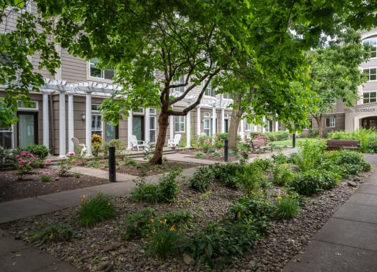Buckman Heights