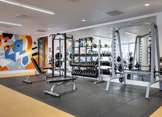 A gym with a variety of equipment including weights and weight machines.