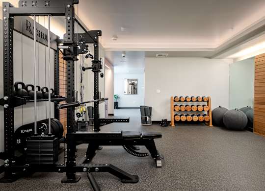 A gym with a squat rack, bench, and weights.