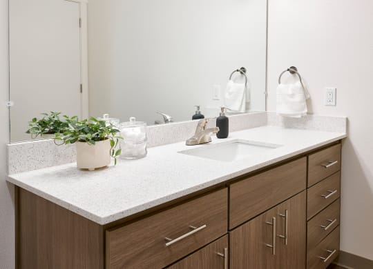a bathroom with a sink and a mirror