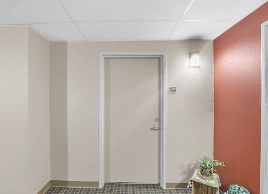 A white door is in a hallway with a plant on a side table.
