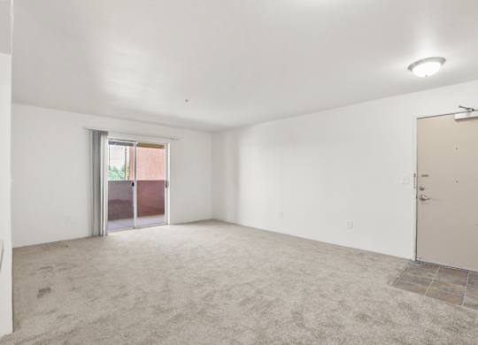 A room with a carpeted floor, a door, and a window with a view of a building outside.