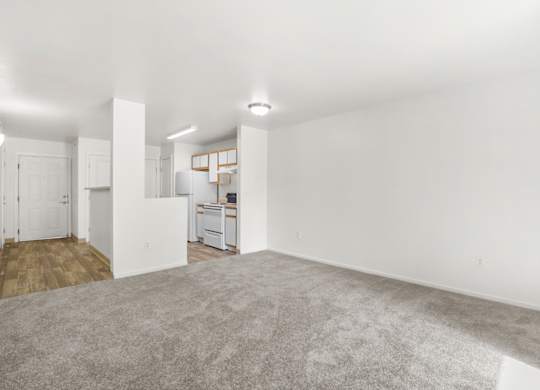 A large, empty room with a carpeted floor and white walls.