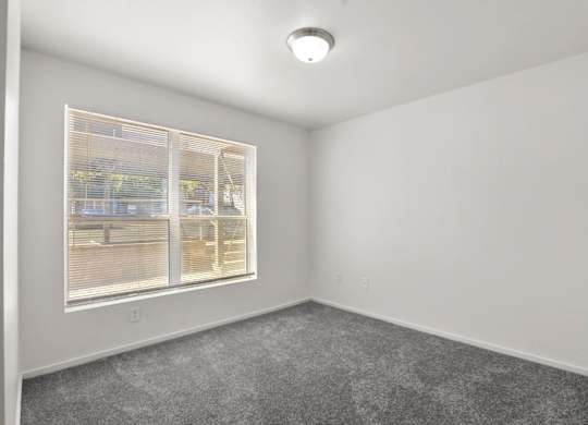 A room with a window and a grey carpet.