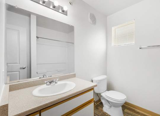 A white toilet sits next to a sink in a bathroom.