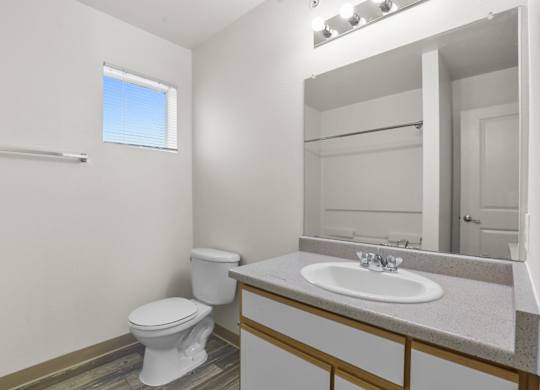 A white toilet sits next to a sink in a bathroom.