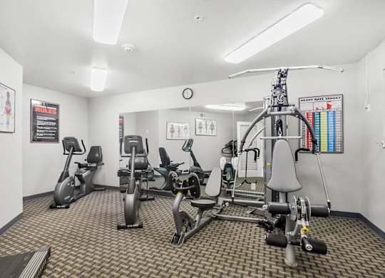 A gym with a variety of exercise equipment.