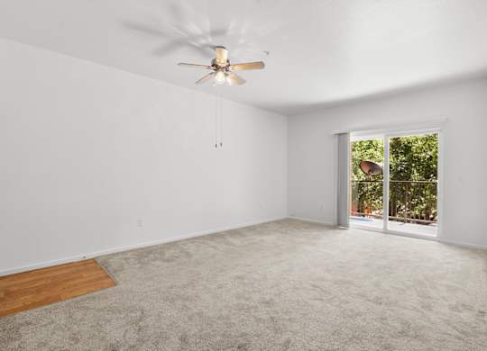 A room with a ceiling fan and a carpeted floor.