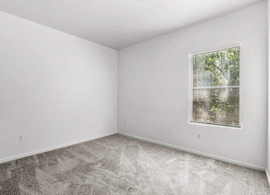 A room with a window and a carpeted floor.