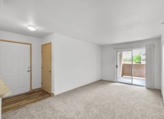 A room with white walls and a carpeted floor.
