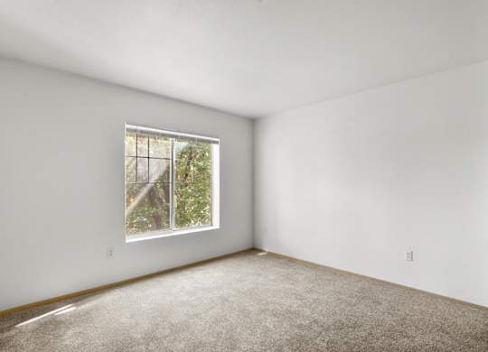 A room with a window and carpeted floor.