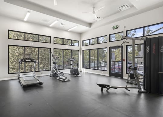 the gym at 1861 muleshoe road