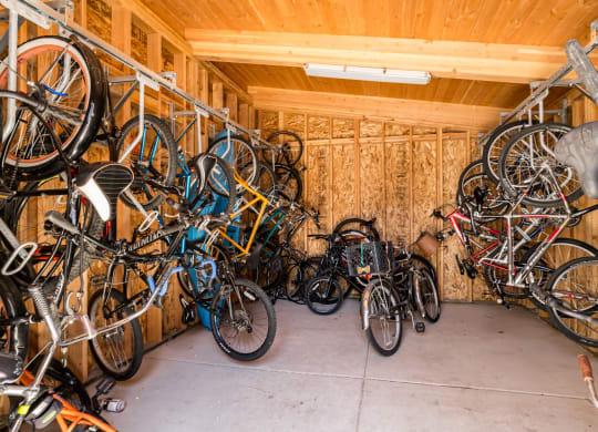 a room filled with lots of bikes