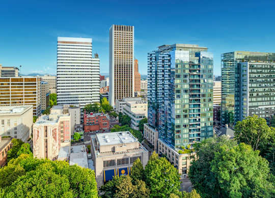 A cityscape with a mix of modern and older buildings, surrounded by lush green trees.
