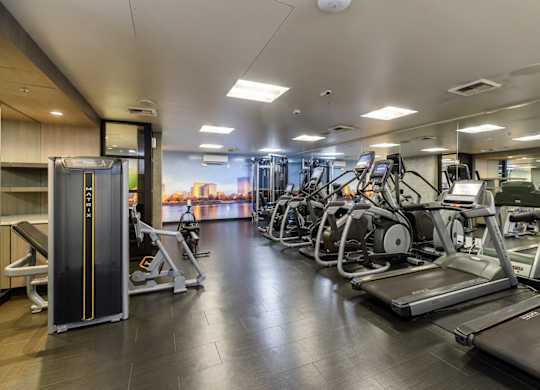 A gym with treadmills, weights, and exercise machines.