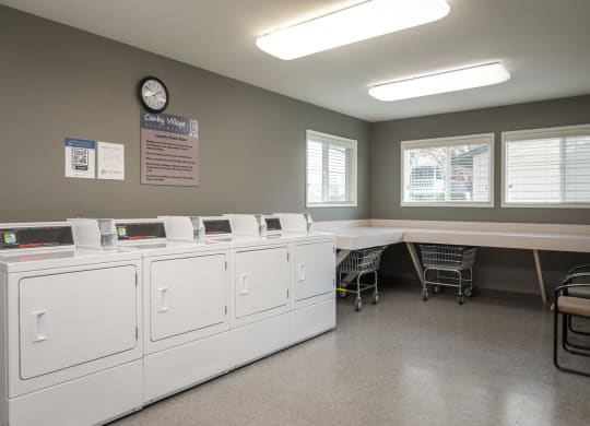 Canby Village_Laundry Room