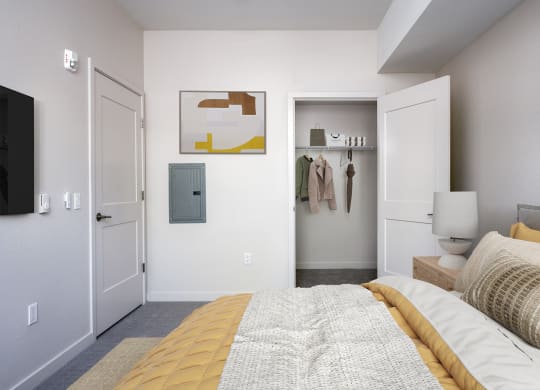 a bedroom with a bed and a closet with a closet door open
