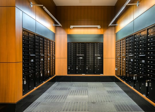 a view of the inside of a wine cellar with wooden walls and racks in it