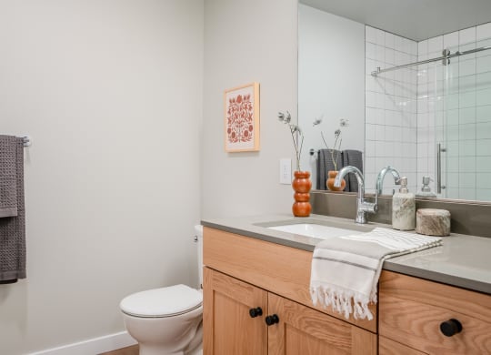 a bathroom with a sink and a toilet and a mirror at Slabtown Square Apartments, Portland , Oregon