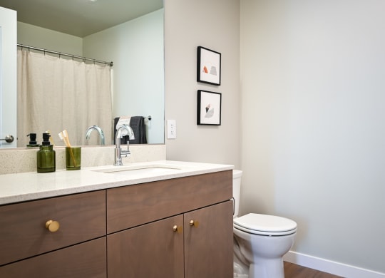 a bathroom with a sink and a toilet and a mirror at Slabtown Square Apartments, Portland 