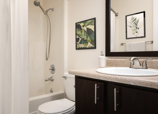 a bathroom with a sink and a toilet and a shower