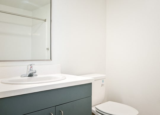 a bathroom with a sink and a toilet and a mirror