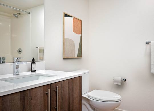 a bathroom with a toilet and a sink and a mirror