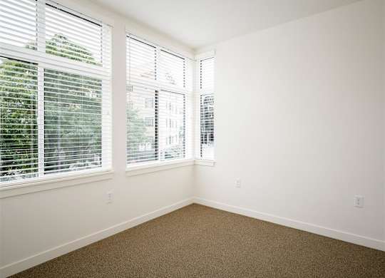 an empty room with three windows and a carpet