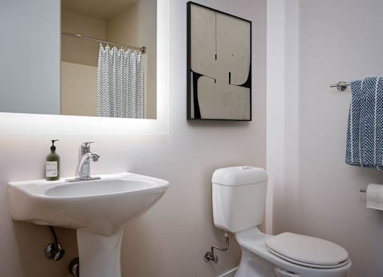a bathroom with a sink and a toilet and a mirror