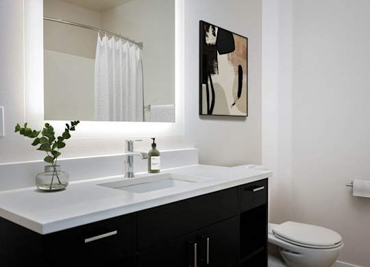 a bathroom with a sink and a mirror and a toilet