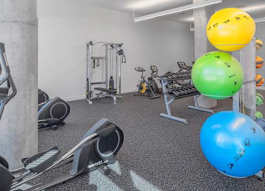A gym with a row of treadmills, a row of stationary bikes, and a row of exercise balls.