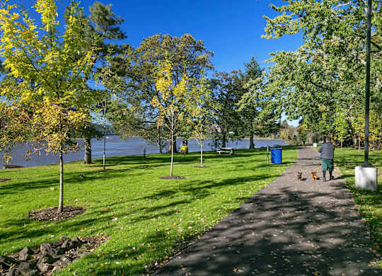 A park with a walking path, trees, and a blue trash can.