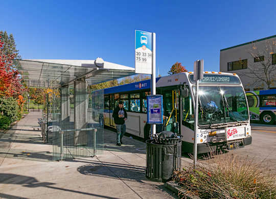 A bus is parked at a bus stop with a sign that reads 30 33 34 and 75 89.