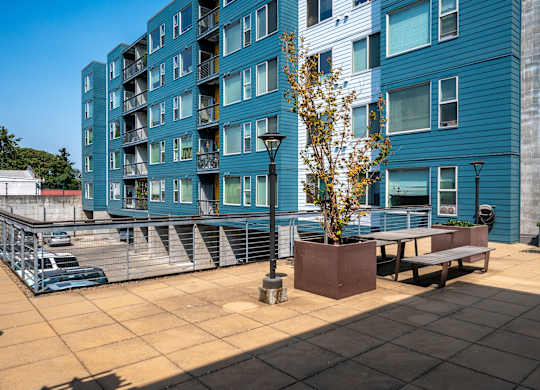 an outdoor patio with benches and a tree in front of a blue building