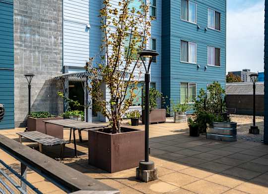 a patio with benches and a tree in front of a blue building