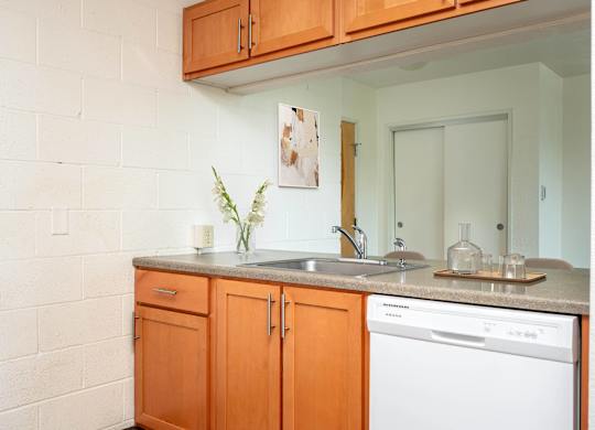 a kitchen with a sink and a dishwasher and a mirror