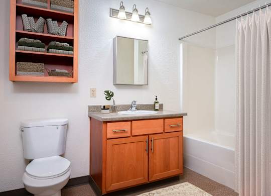 the preserve at ballantyne commons bathroom with toilet sink and shower