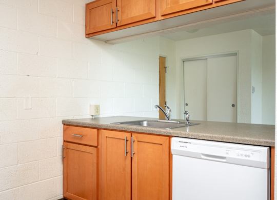 a kitchen with a sink and a dishwasher and wooden cabinets