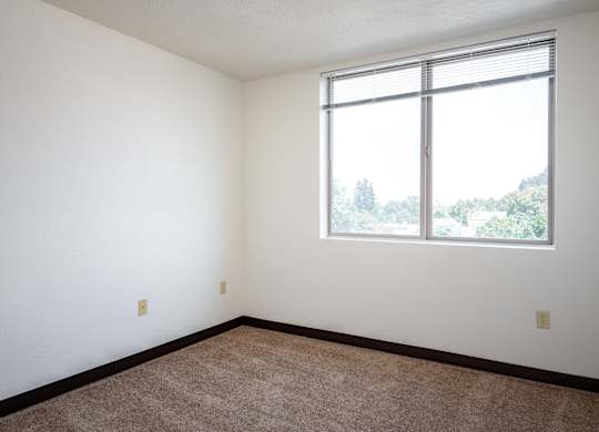 an empty room with a large window and carpet