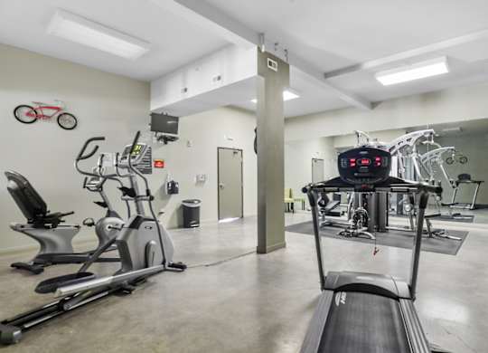 A gym with treadmills, exercise bikes, and other equipment.