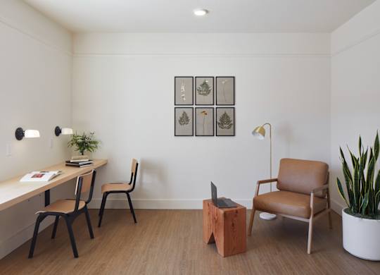 A room with a desk, chairs, and a plant.