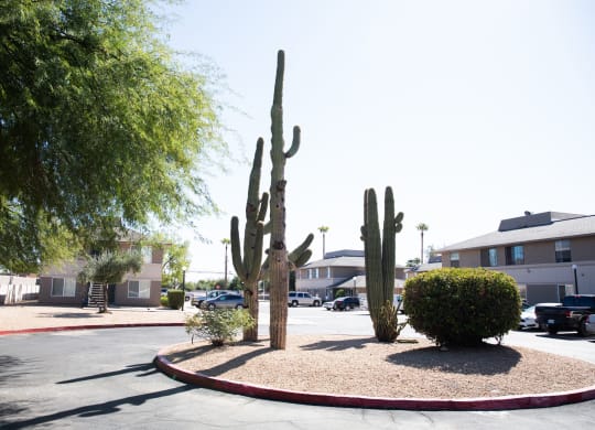 Sierra Vista
