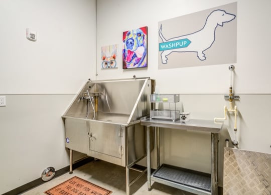 The Marilyn_Pet Wash Station