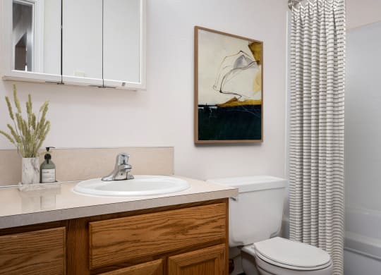 a bathroom with a sink toilet and shower with a shower curtain